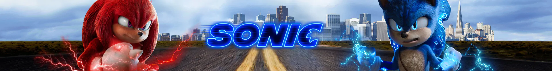 Sonic stationeries  banner