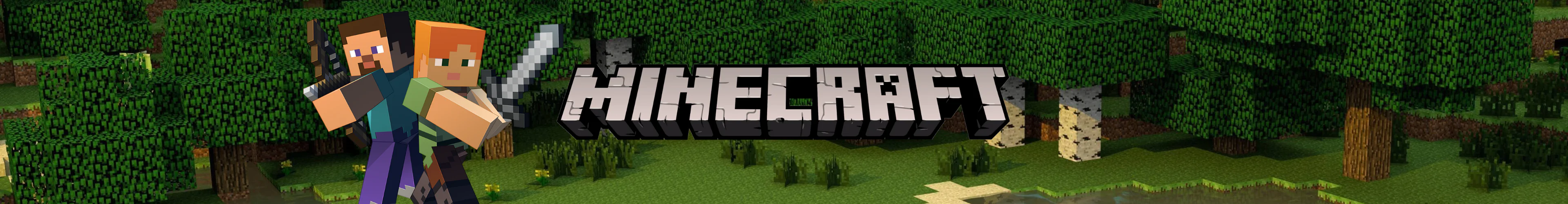 Minecraft cards banner