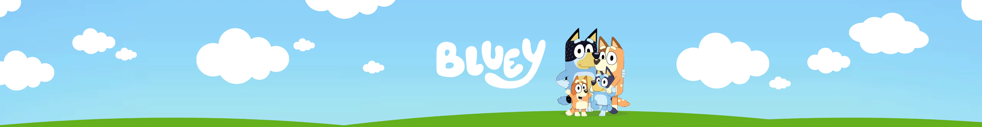 Bluey gym bags banner