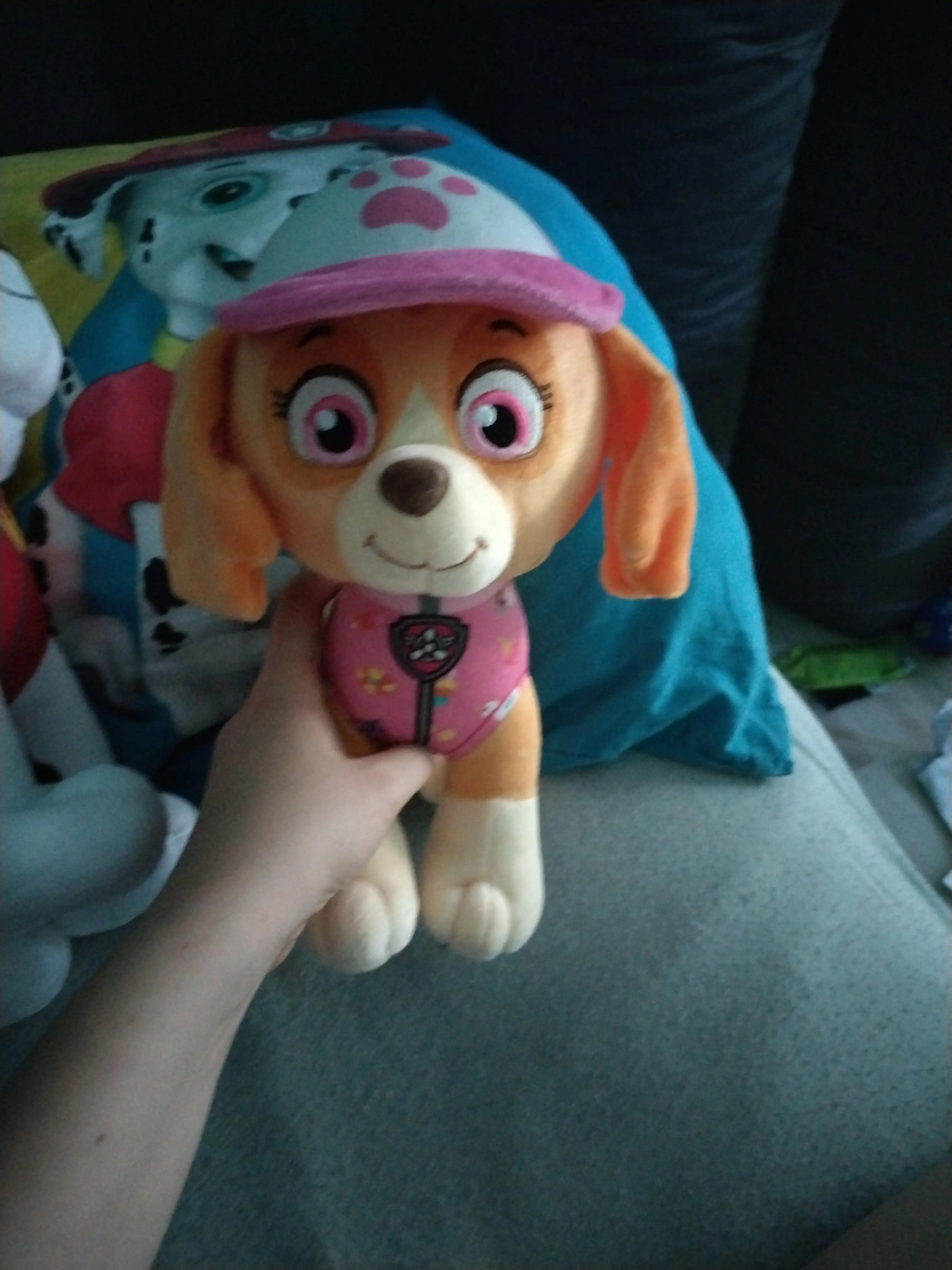 Paw Patrol Skye Summer plush toy 27cm product photo