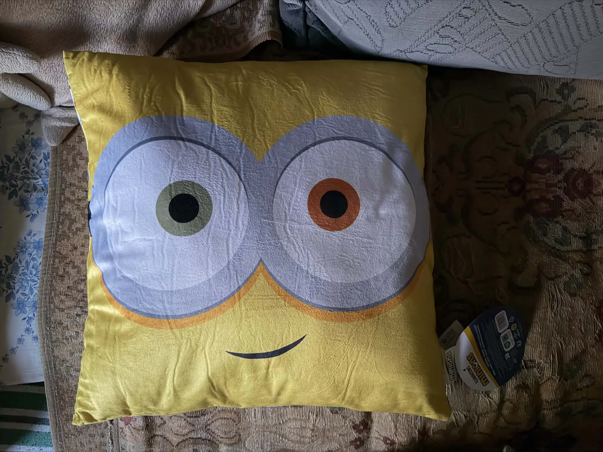 Minions Watch Me Cushion, Decorative Pillow product photo