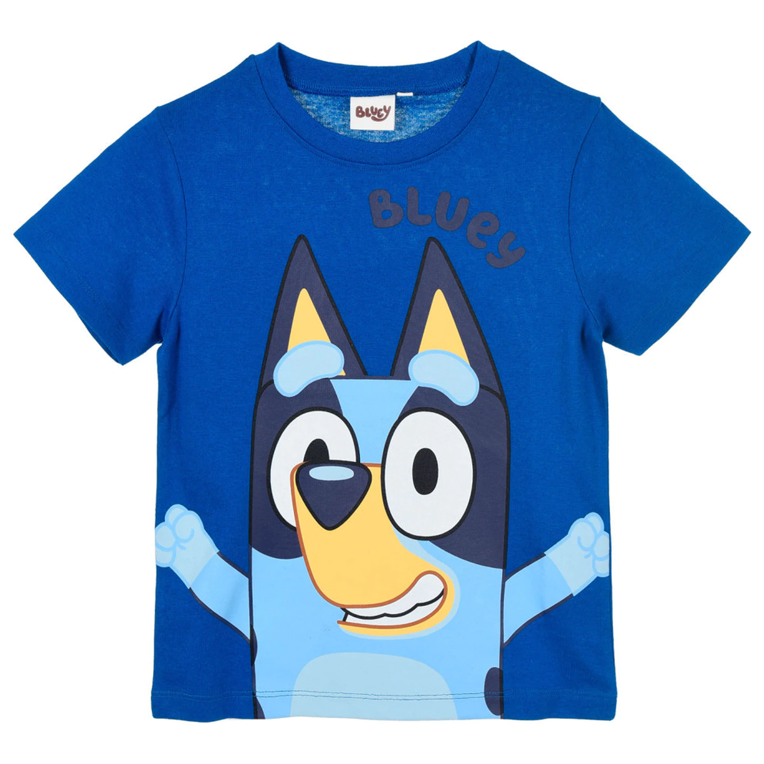 Bluey Blue children's short t-shirt, top  product photo