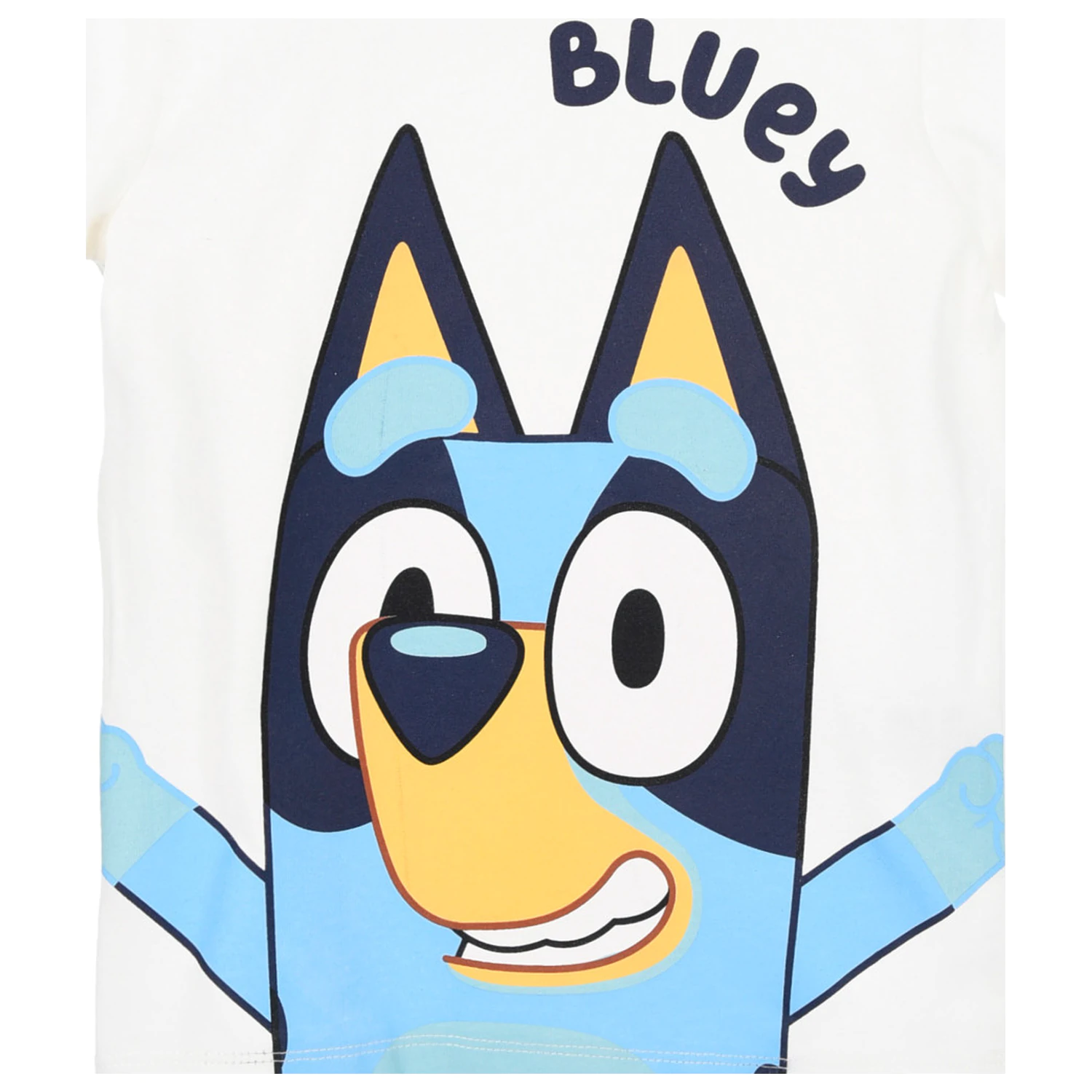 Bluey White Kids' Short T-Shirt, Top  product photo