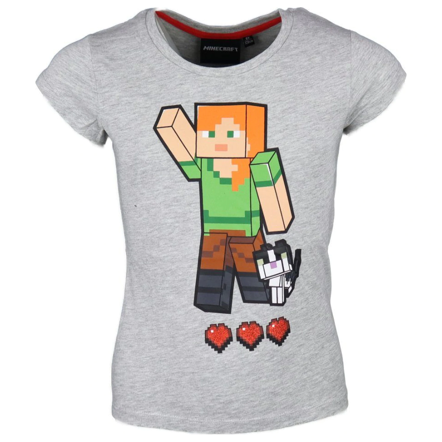 Minecraft Grey Short Sleeve T-Shirt for Kids, Top product photo