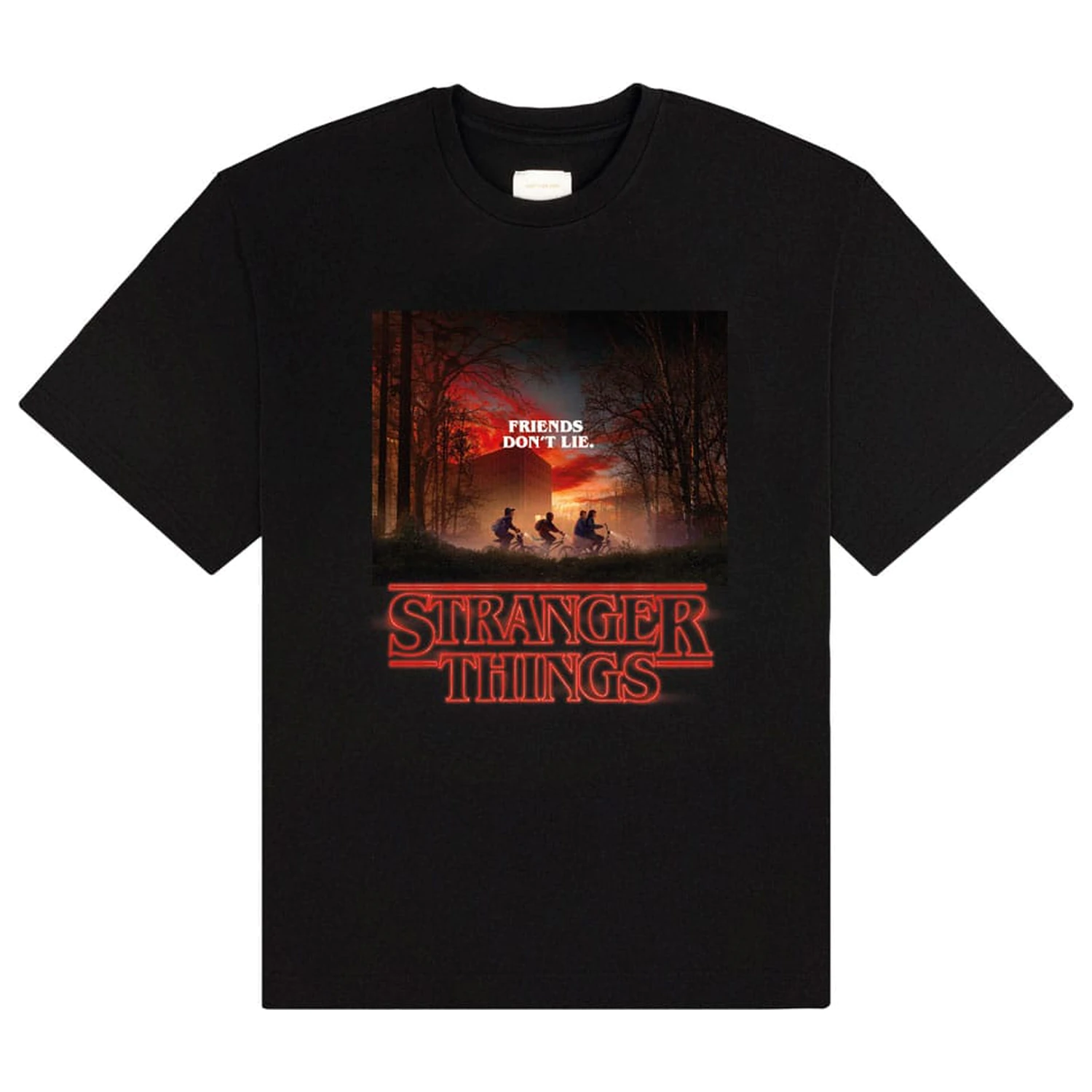 Stranger Things T-Shirt Friends Don't Lie product photo