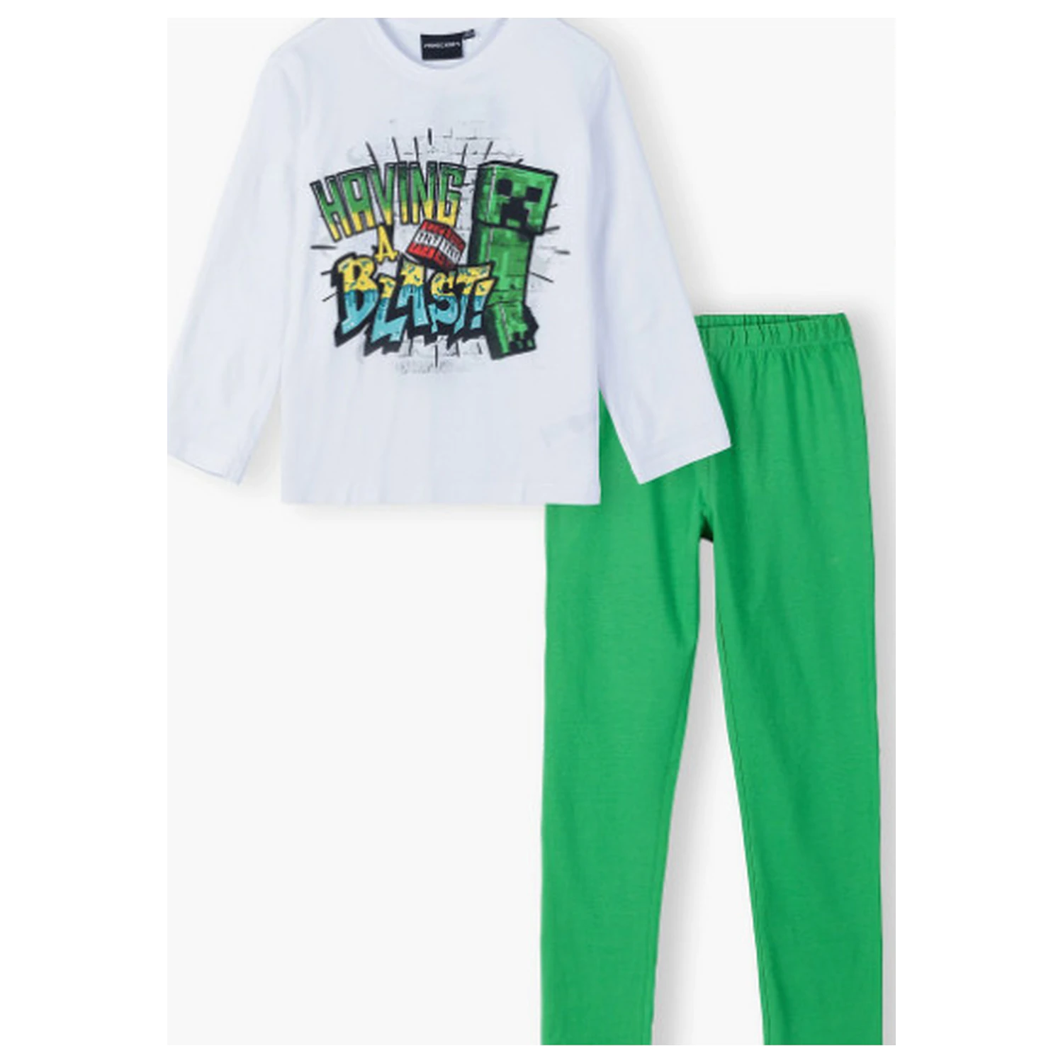 Minecraft Having a Blast Kids Long Pajamas  product photo