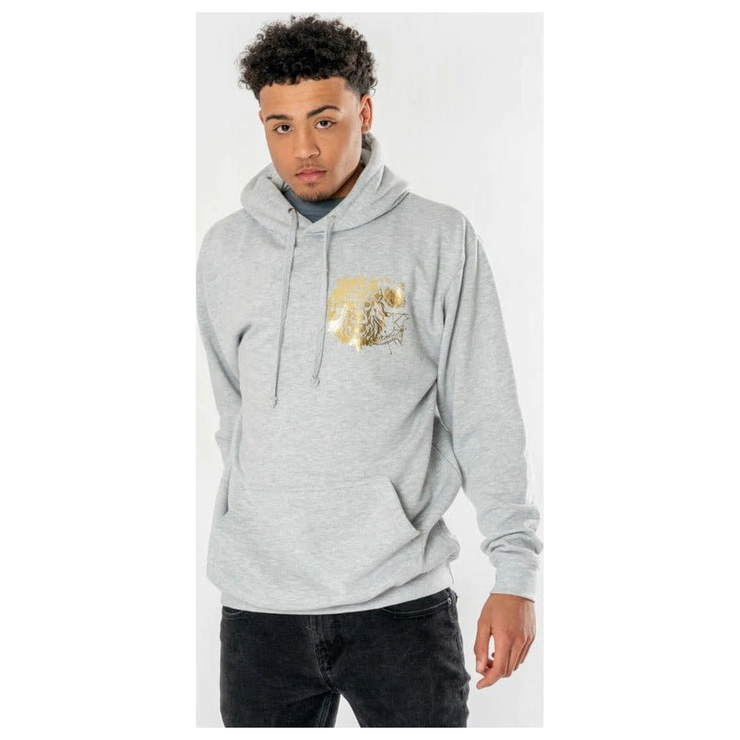 Harry Potter Hooded Sweater Gryffindor Zodiac  product photo