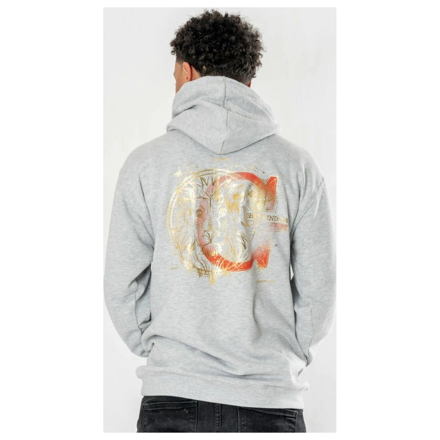 Harry Potter Hooded Sweater Gryffindor Zodiac  product photo