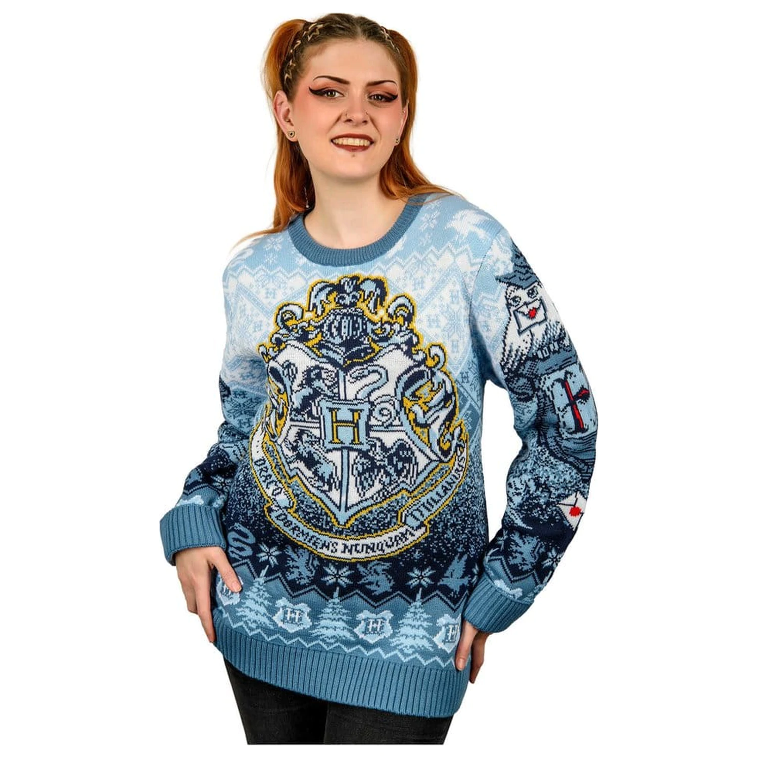 Harry Potter Christmas Sweater Hogwarts product photo