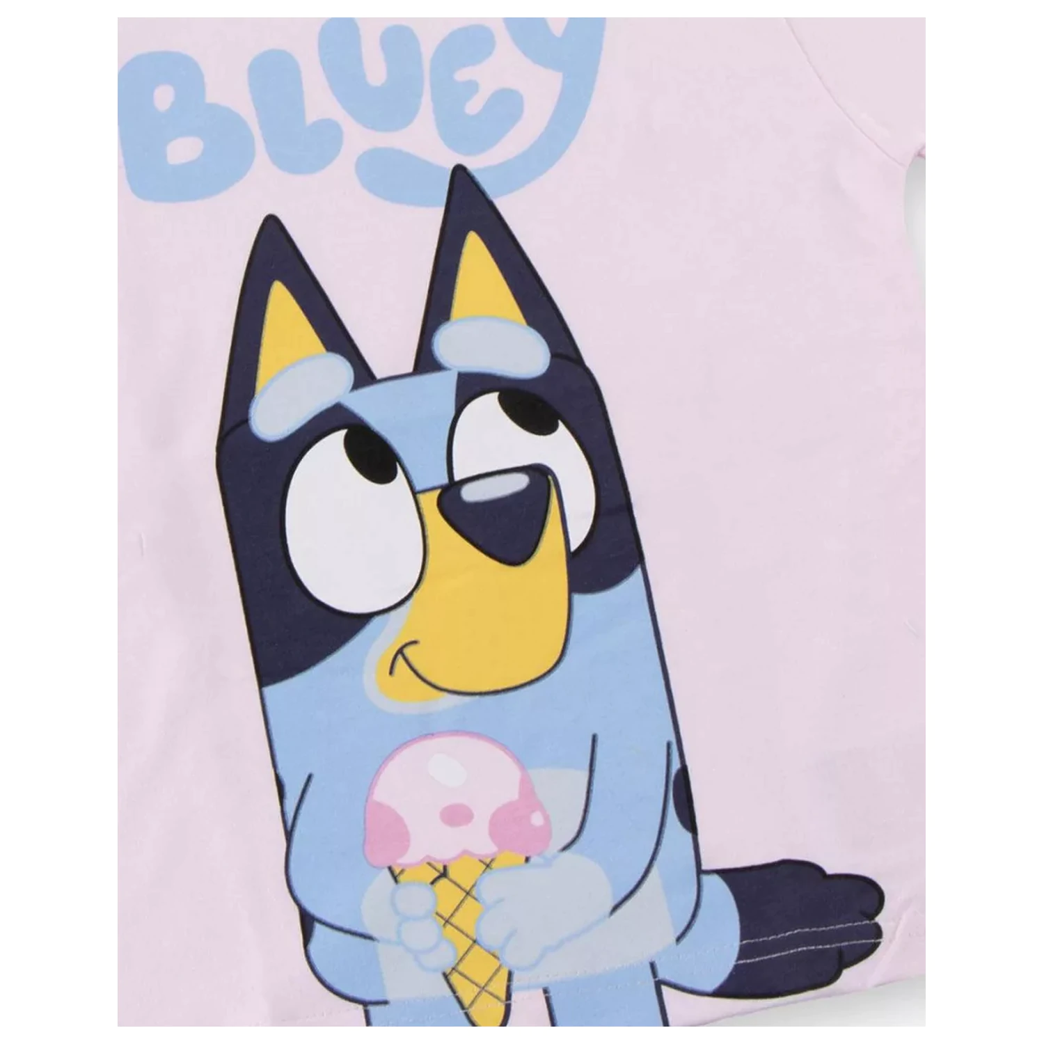 Bluey Ice Cream kids' short sleeve t-shirt, top product photo