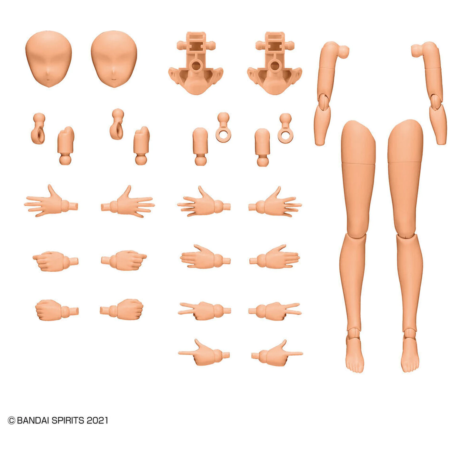 30MS Body Parts Arm & Leg Parts Set Color C product photo