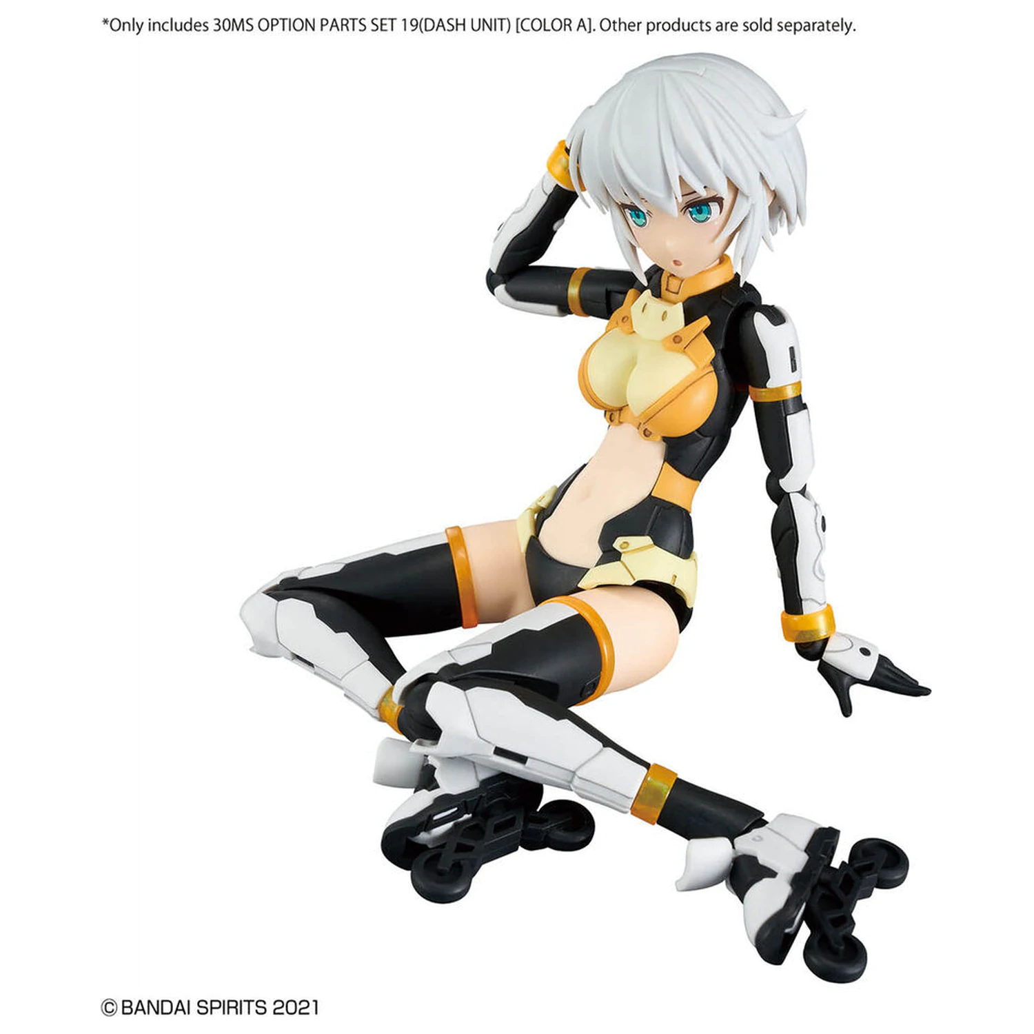 30MS Optional Parts Set 19 Dash Unit Color A product photo