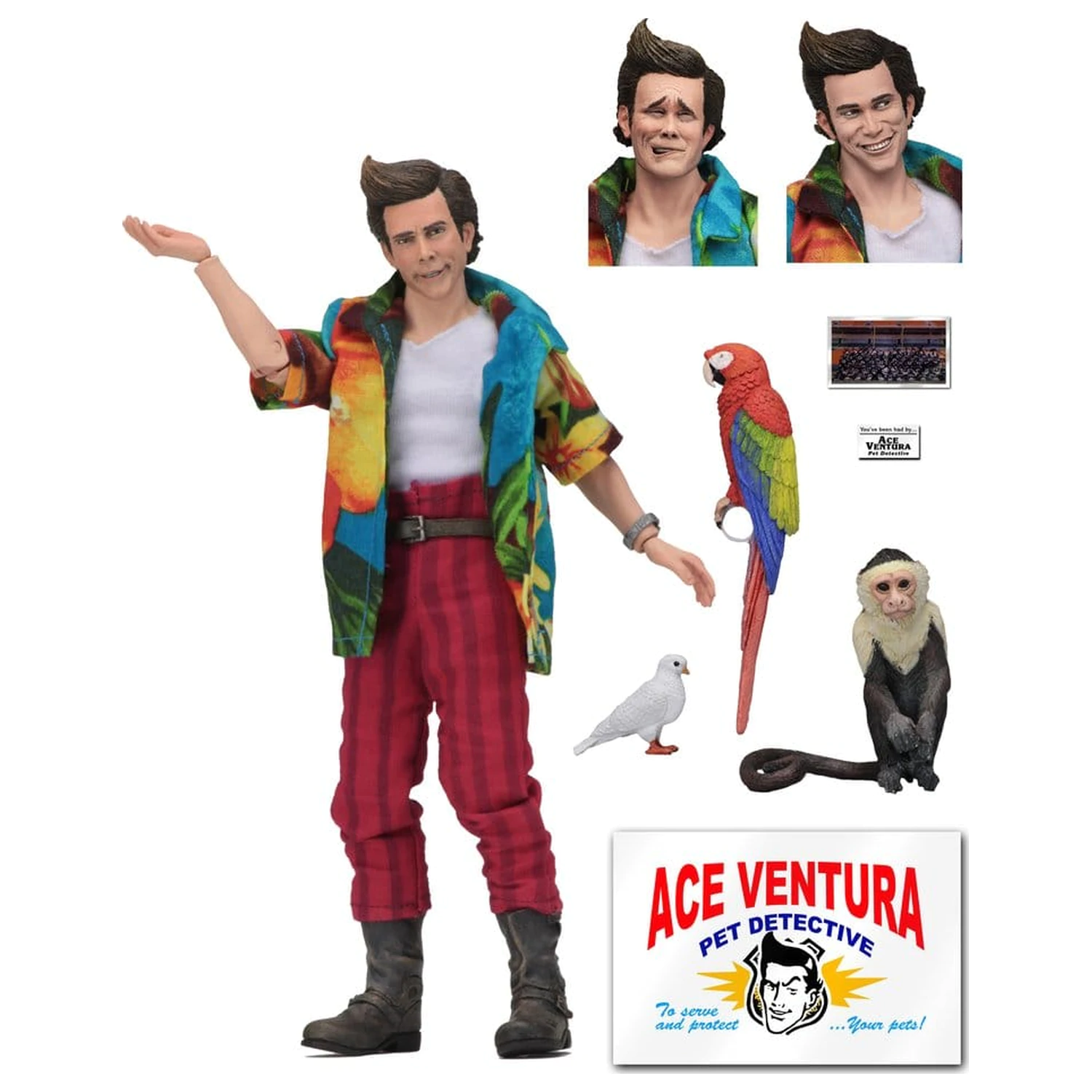 Ace Ventura Clothed Action Figure Ace Ventura 20 cm product photo