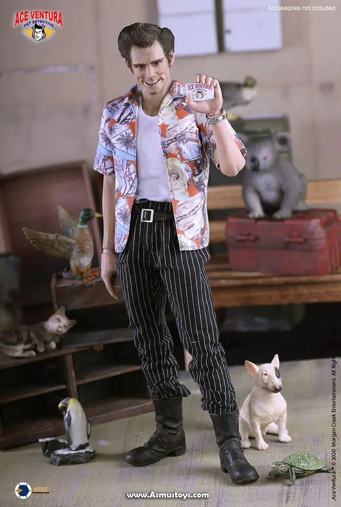 Ace Ventura: Pet Detective Action Figure 1/6 Ace Ventura 30 cm product photo