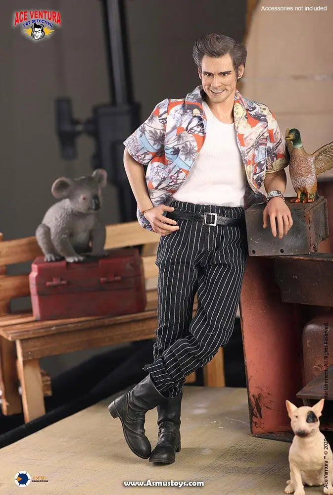 Ace Ventura: Pet Detective Action Figure 1/6 Ace Ventura 30 cm product photo