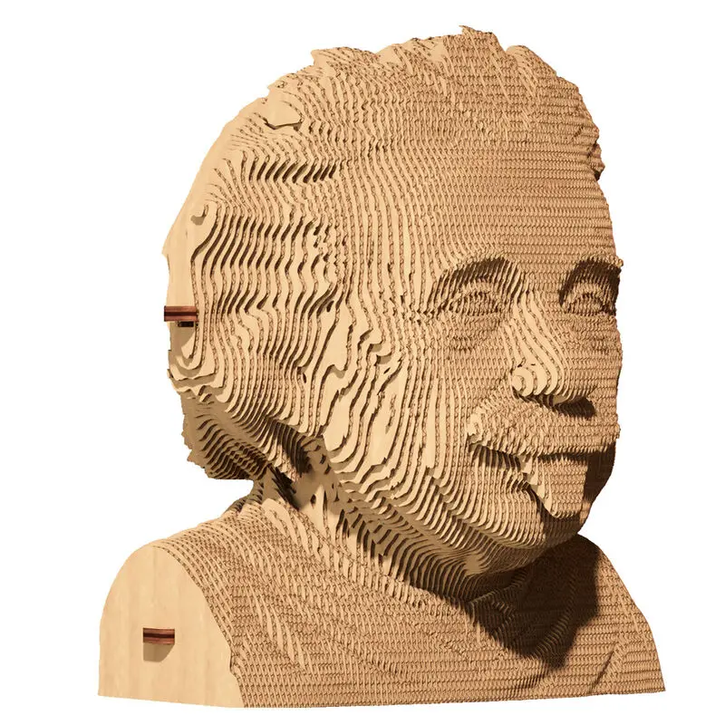 Albert Einstein cartonic 3D puzzle 172pcs product photo