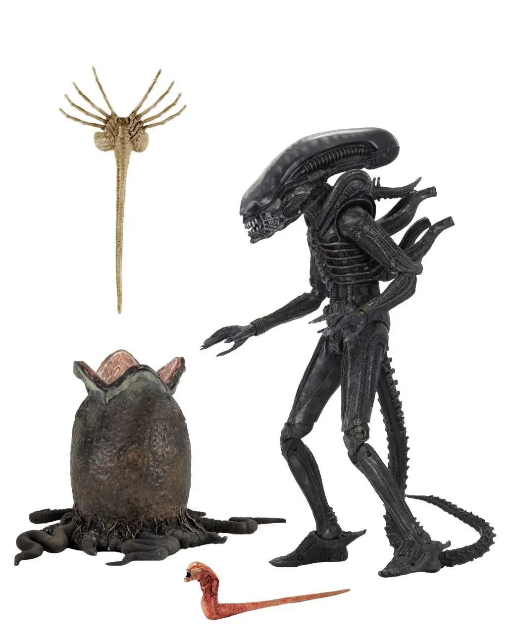 Alien 1979 Action Figure Ultimate 40th Anniversary Big Chap 23 cm product photo