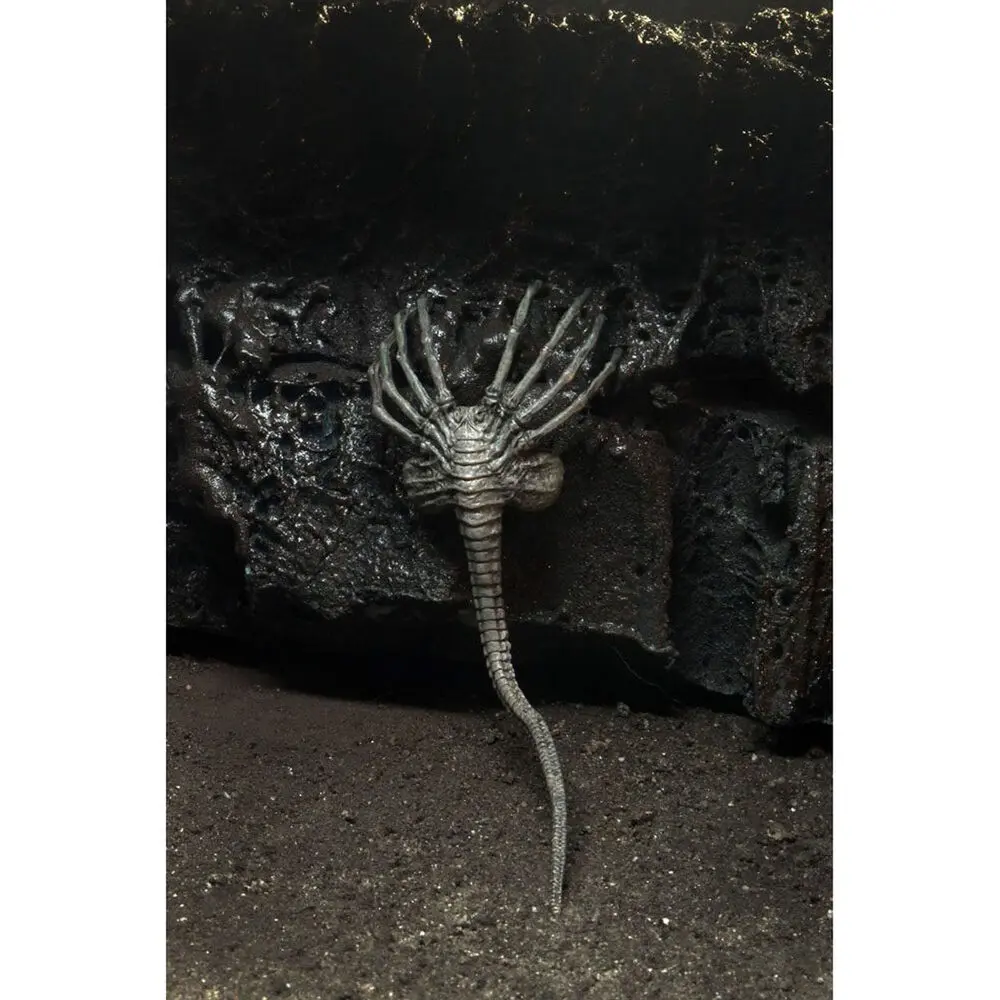 Alien 40th Anniversary Serie 4 The Alien figure 18cm product photo
