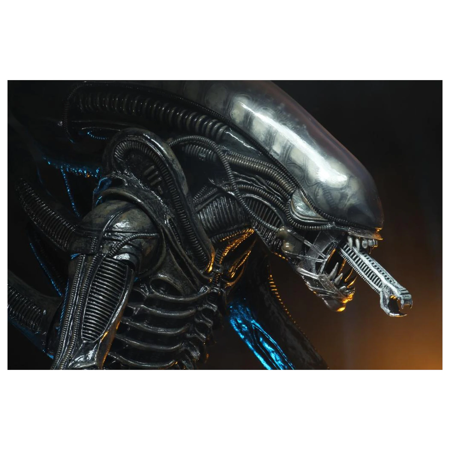 Alien Big Chap Figure 1/4 55cm product photo