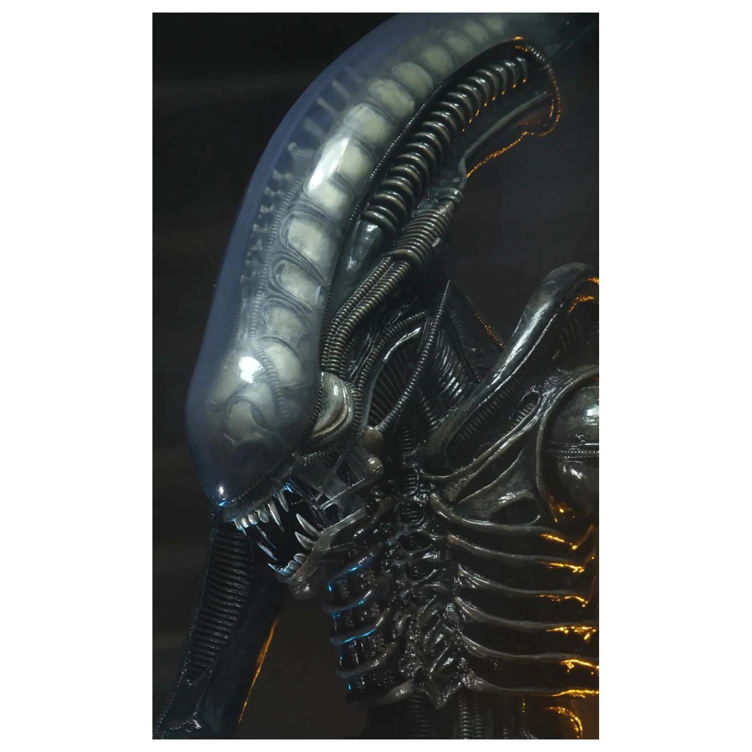 Alien Big Chap Figure 1/4 55cm product photo
