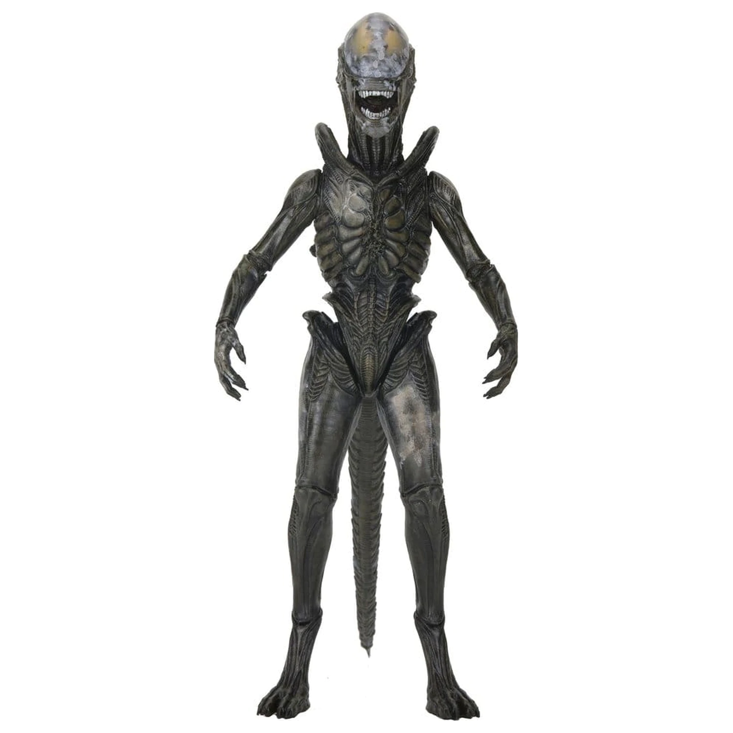 Alien: Earth Ultimate Action Figure Wendy's Xenomorph 18 cm product photo