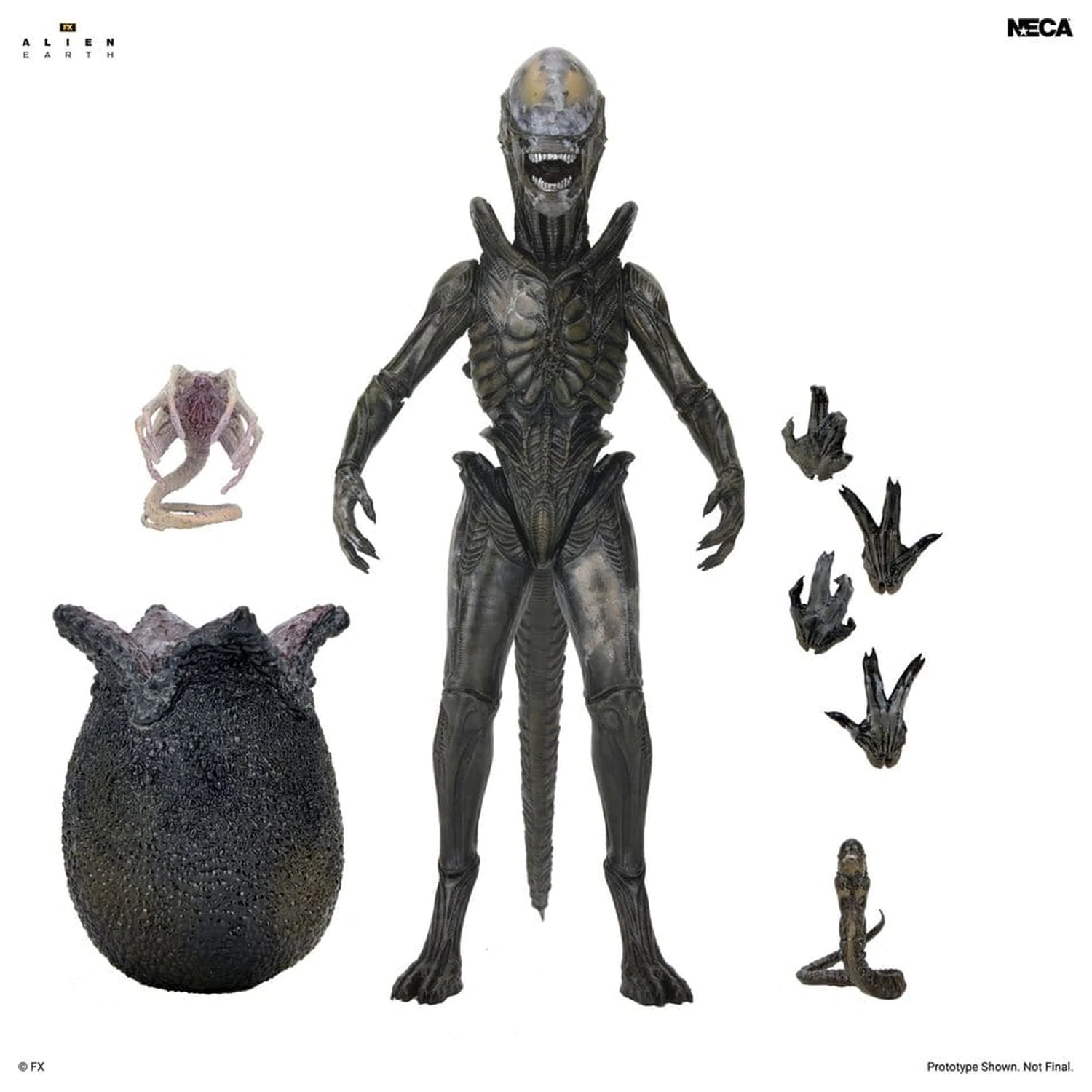 Alien: Earth Ultimate Action Figure Wendy's Xenomorph 18 cm product photo
