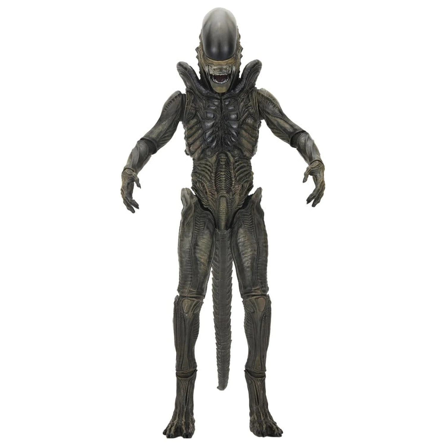Alien: Earth Ultimate Action Figure Xenomorph 18 cm product photo