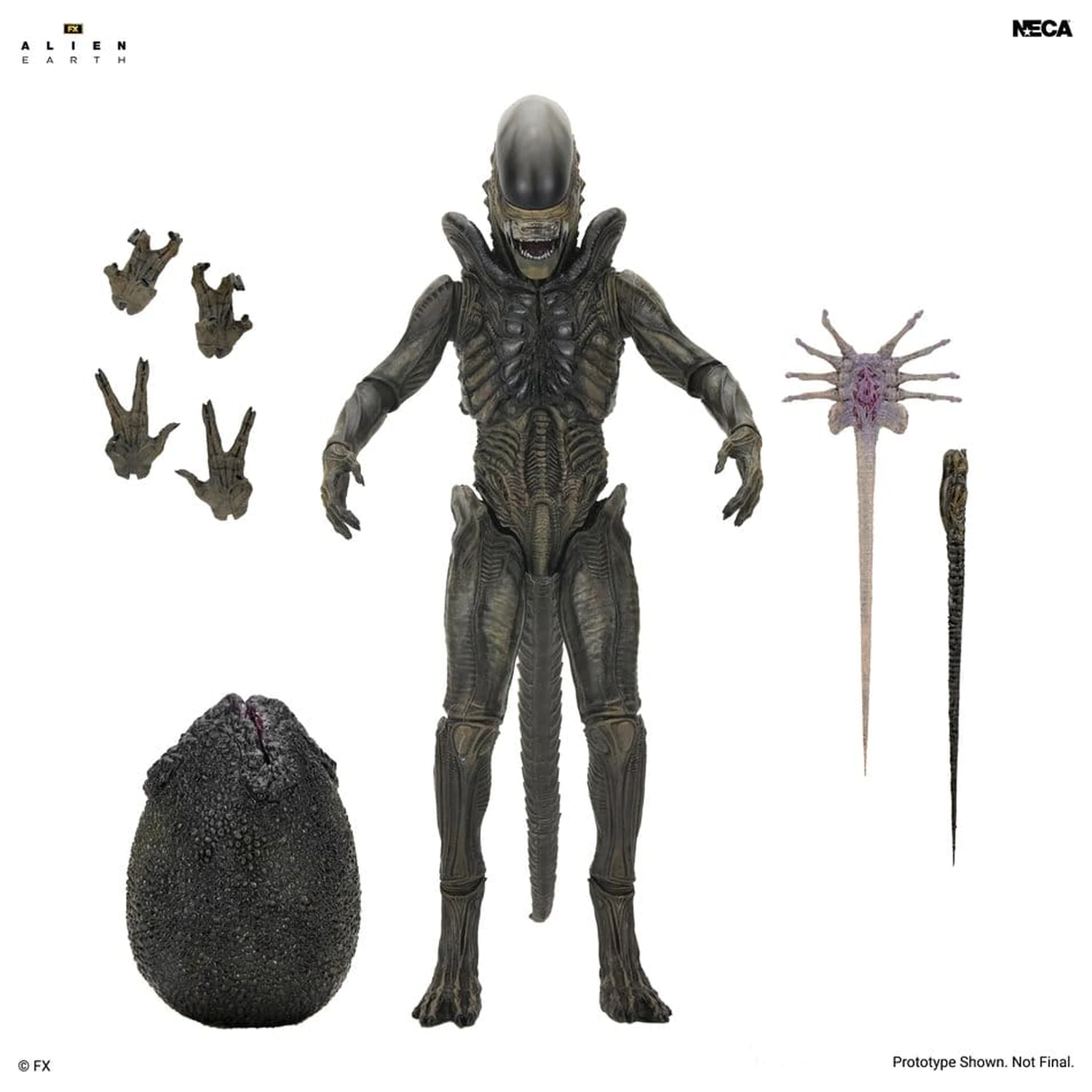 Alien: Earth Ultimate Action Figure Xenomorph 18 cm product photo