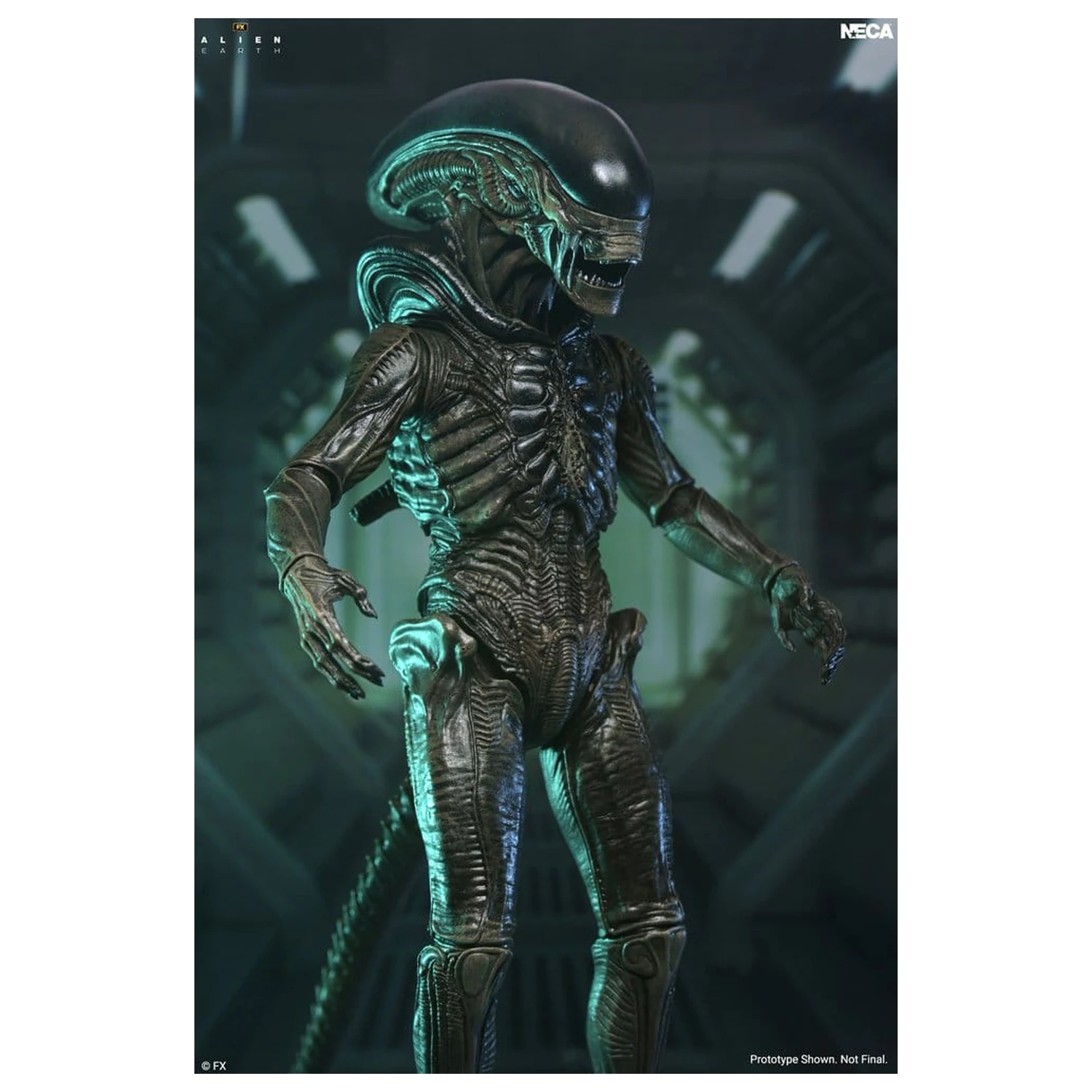 Alien: Earth Ultimate Action Figure Xenomorph 18 cm product photo