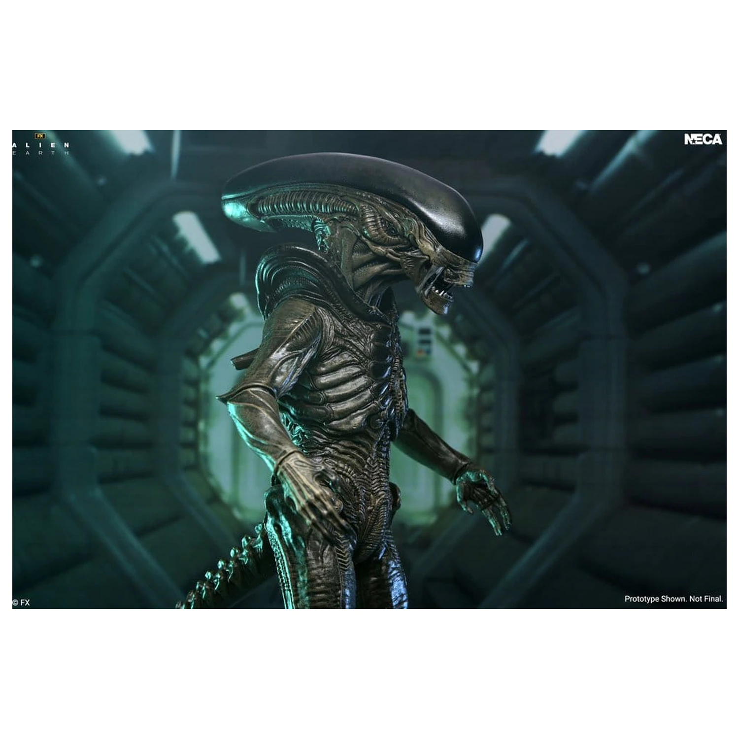 Alien: Earth Ultimate Action Figure Xenomorph 18 cm product photo