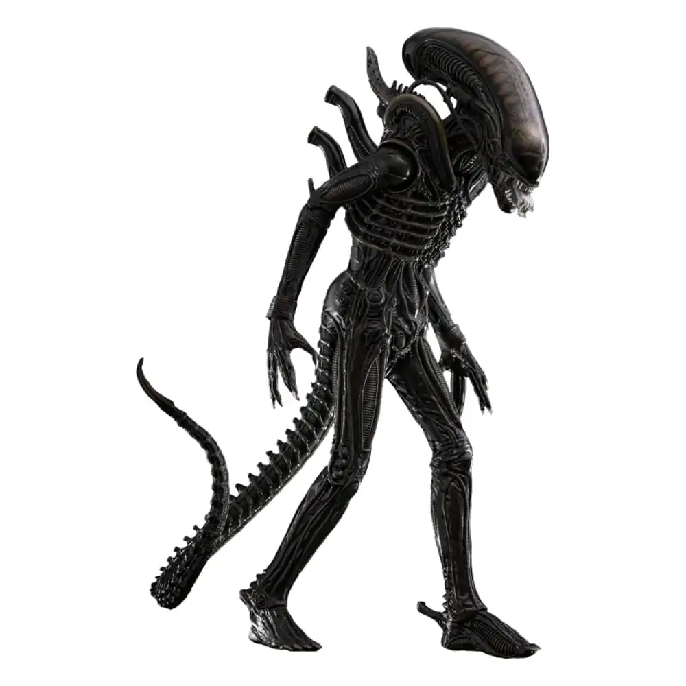Alien Movie Masterpiece Action Figure 1/6 Big Chap 36 cm product photo