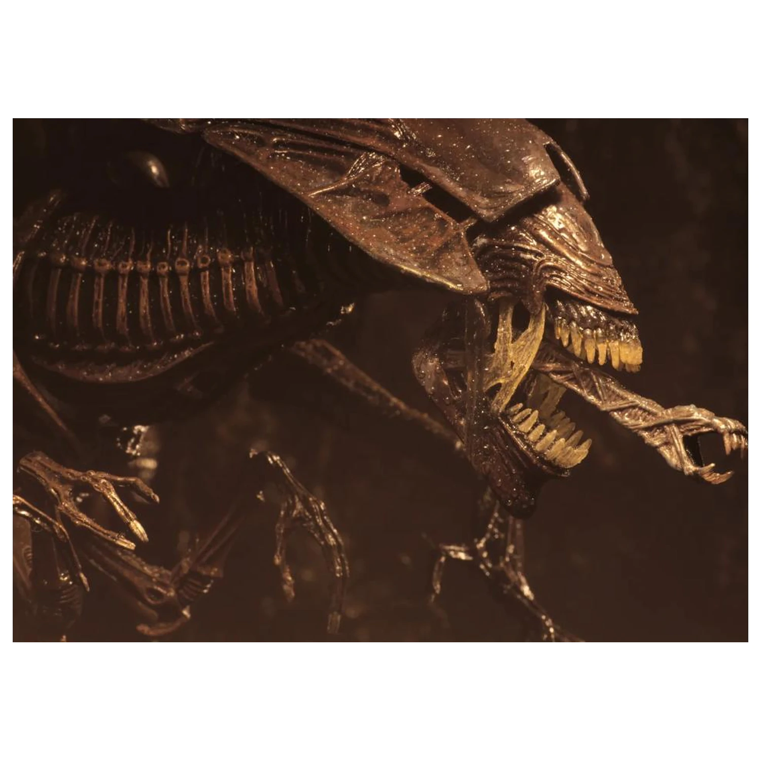 Alien Resurrection Alien Queen Figure Ultra Deluxe 37cm product photo