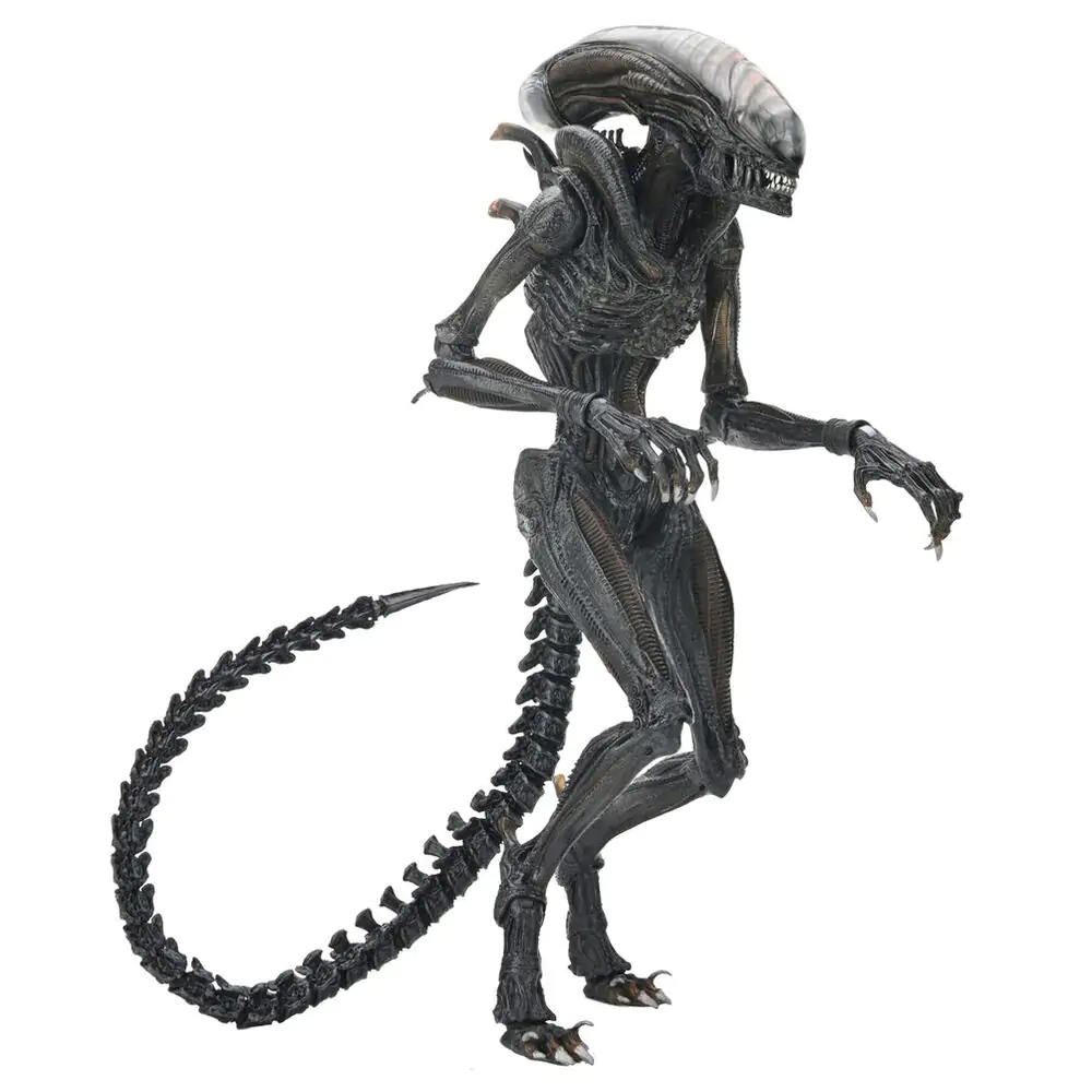 Alien Romulus Scorched Xnomorph Ultimate figure 23cm termékfotó