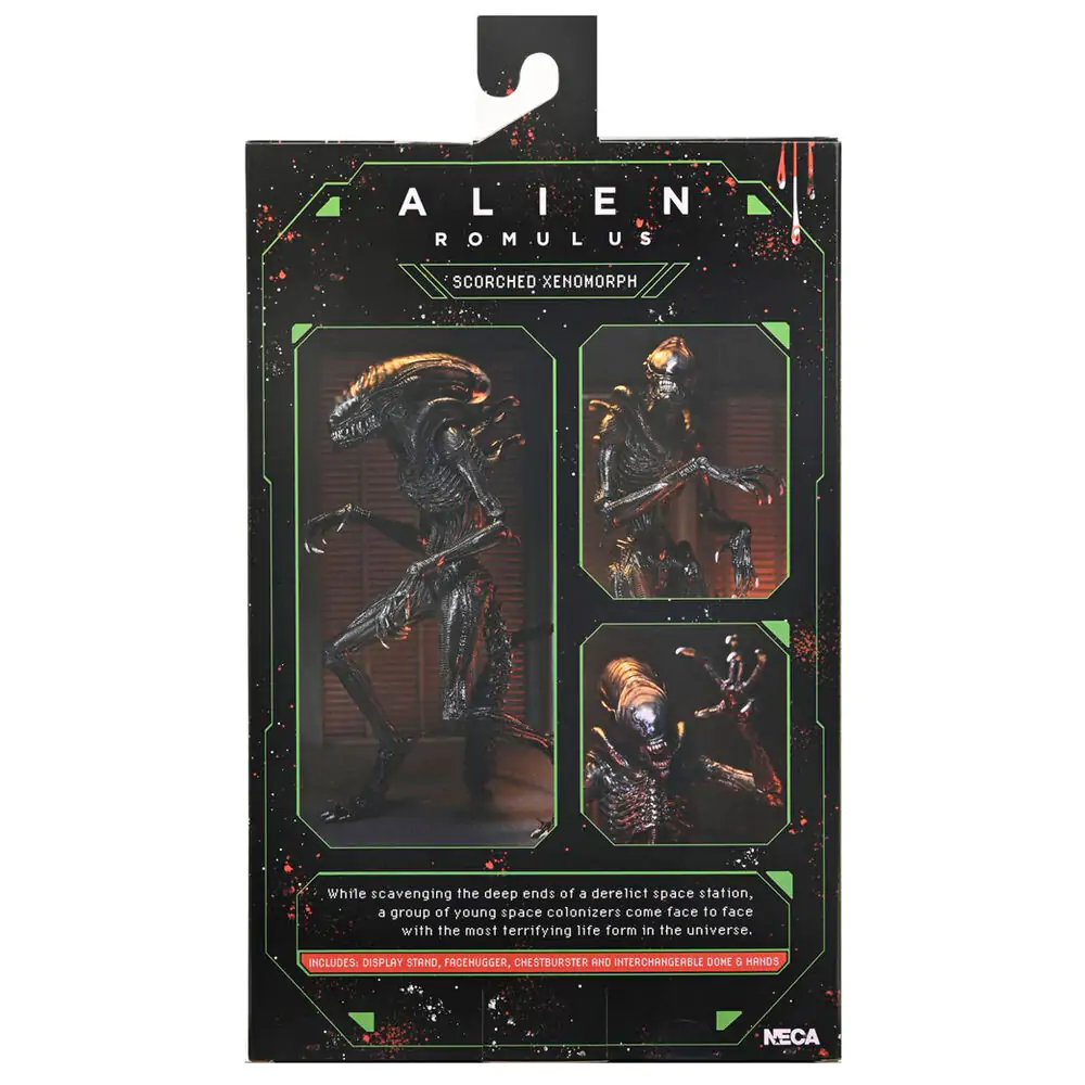 Alien Romulus Scorched Xnomorph Ultimate figure 23cm termékfotó