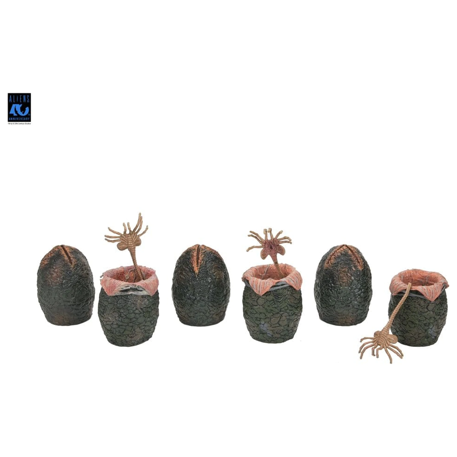 Aliens 6-Pack Accessory Pack Carton of Alien Eggs (40th Anniversary) product photo