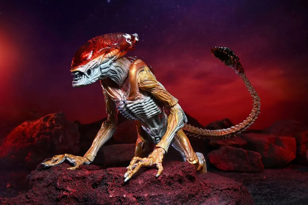 Aliens Action Figure Panther Alien (Kenner Tribute) 23 cm termékfotó