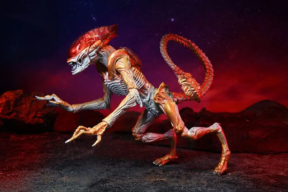 Aliens Action Figure Panther Alien (Kenner Tribute) 23 cm termékfotó