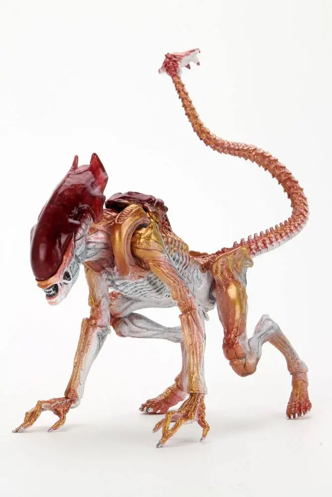 Aliens Action Figure Panther Alien (Kenner Tribute) 23 cm termékfotó