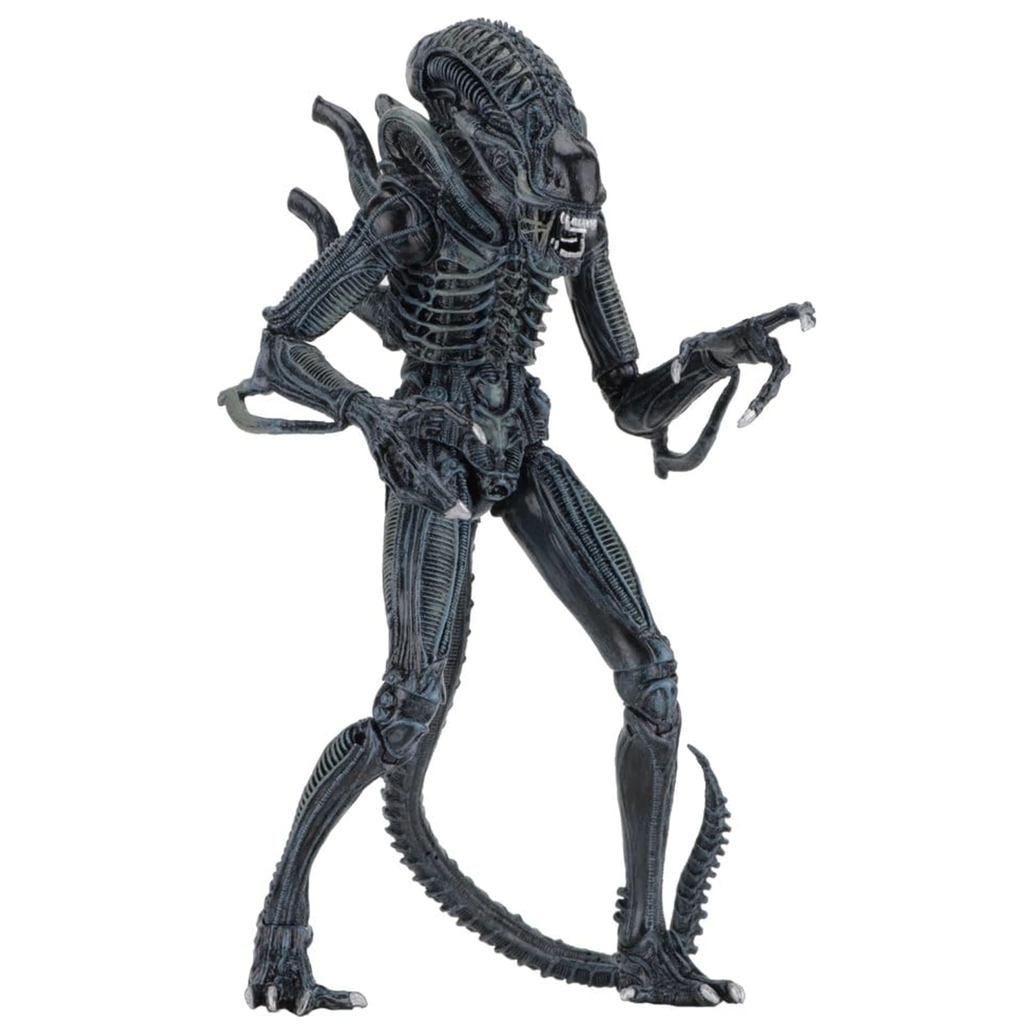 Aliens Ultimate Action Figure Warrior (1986) Blue 23 cm product photo