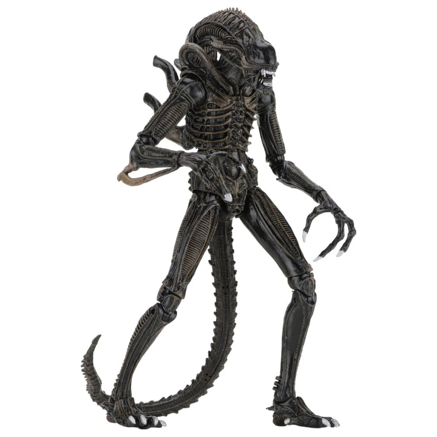 Aliens Ultimate Action Figure Warrior (1986) Brown 23 cm product photo