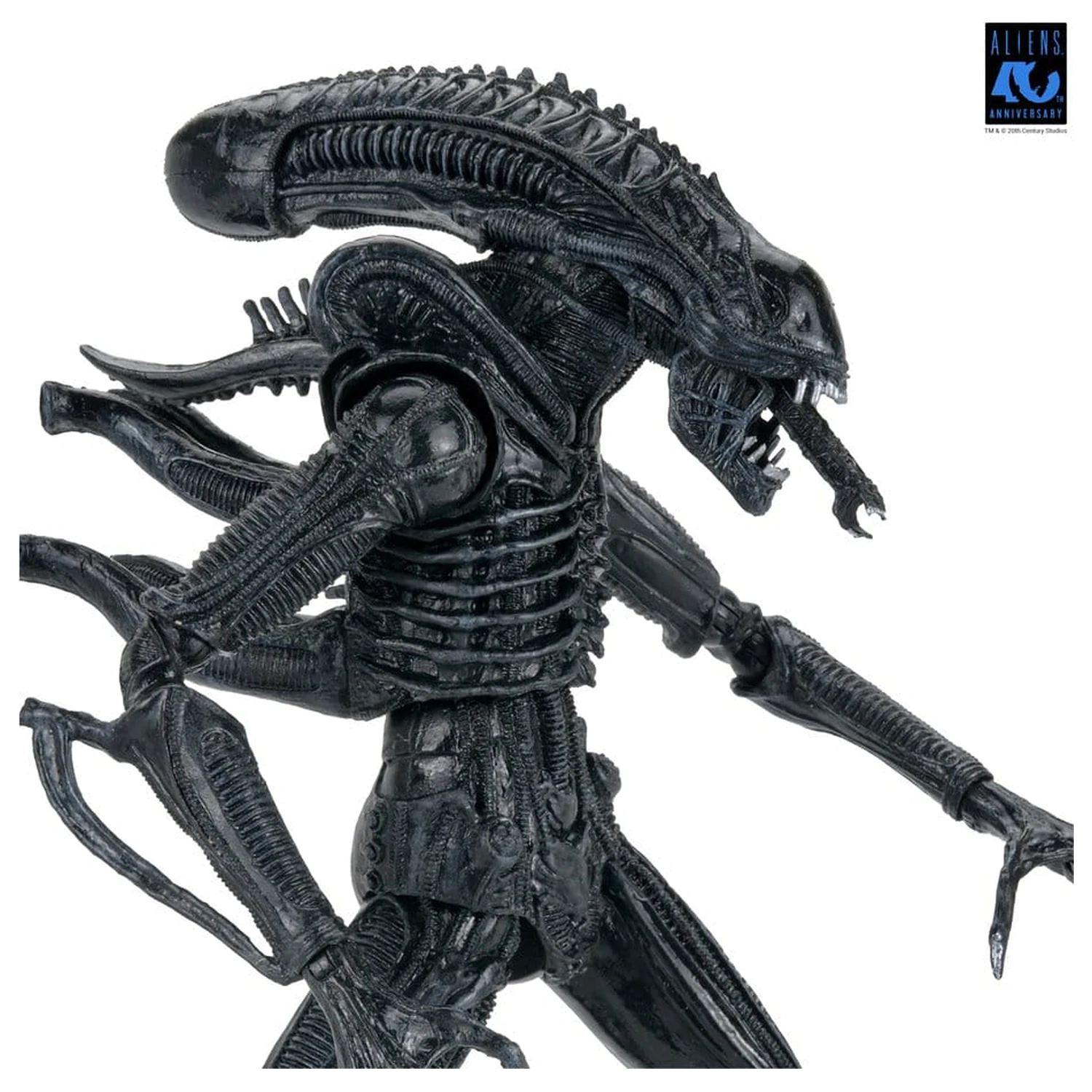 Aliens Ultimate Action Figure Warrior (1986) Xenomorph Black (40th Anniversary) 23 cm product photo