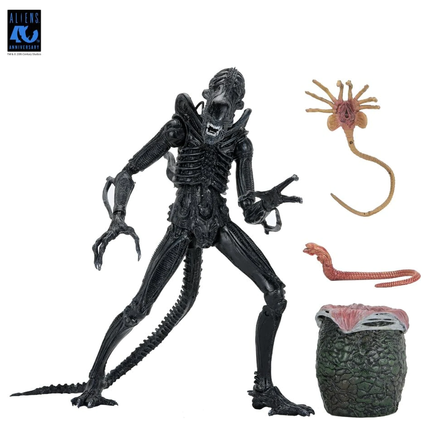 Aliens Ultimate Action Figure Warrior (1986) Xenomorph Black (40th Anniversary) 23 cm product photo