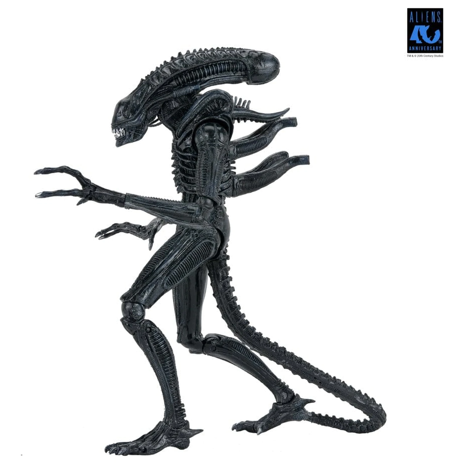 Aliens Ultimate Action Figure Warrior (1986) Xenomorph Black (40th Anniversary) 23 cm product photo