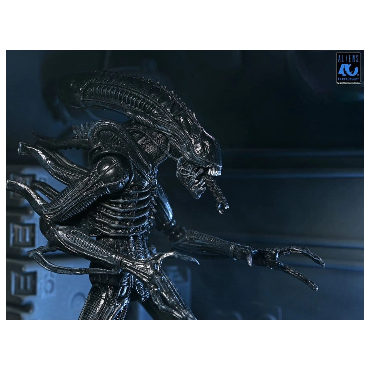 Aliens Ultimate Action Figure Warrior (1986) Xenomorph Black (40th Anniversary) 23 cm product photo