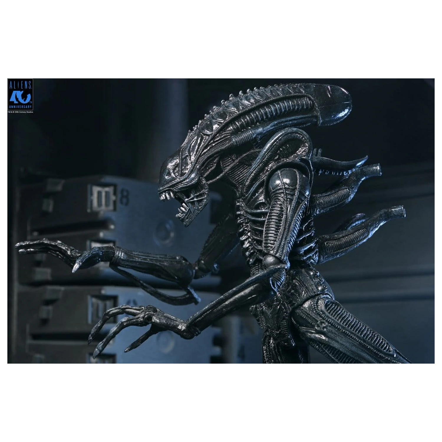 Aliens Ultimate Action Figure Warrior (1986) Xenomorph Black (40th Anniversary) 23 cm product photo