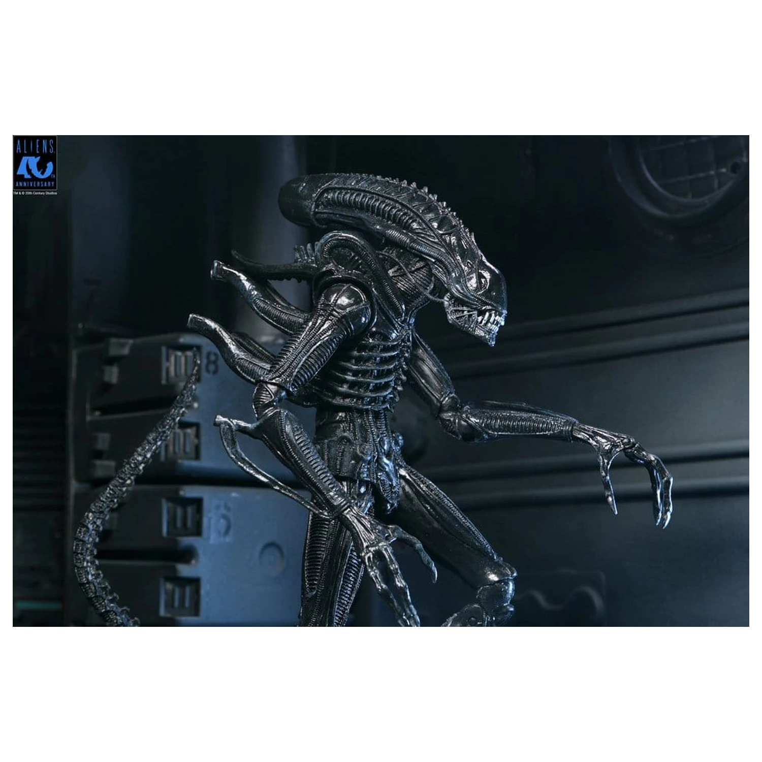 Aliens Ultimate Action Figure Warrior (1986) Xenomorph Black (40th Anniversary) 23 cm product photo