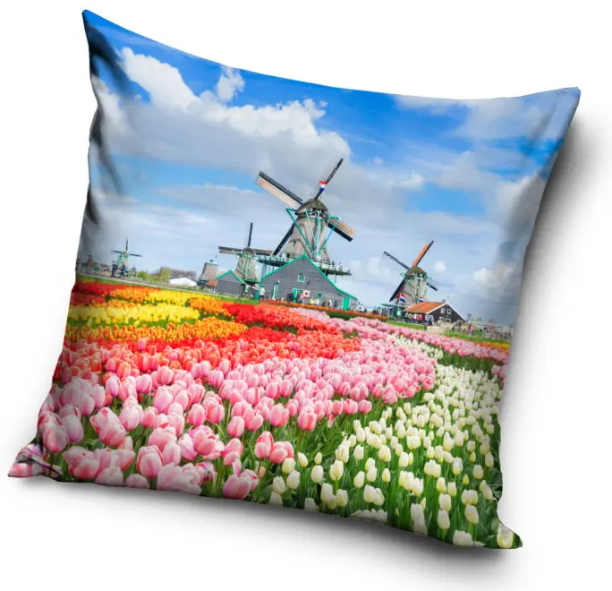 Amsterdam Pillow Case 40*40 cm product photo