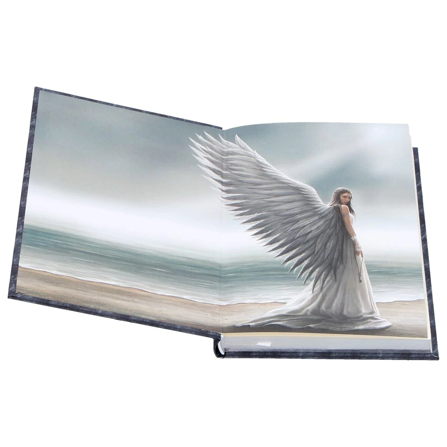 Anne Stokes Journal Spirit Guide A5  product photo