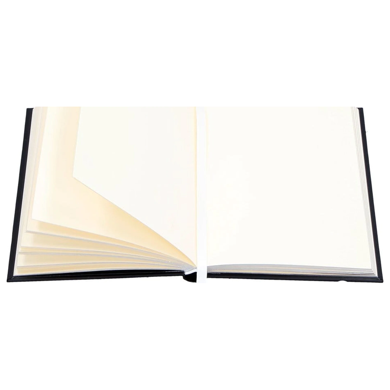 Anne Stokes Journal Skull Embrace A5  product photo