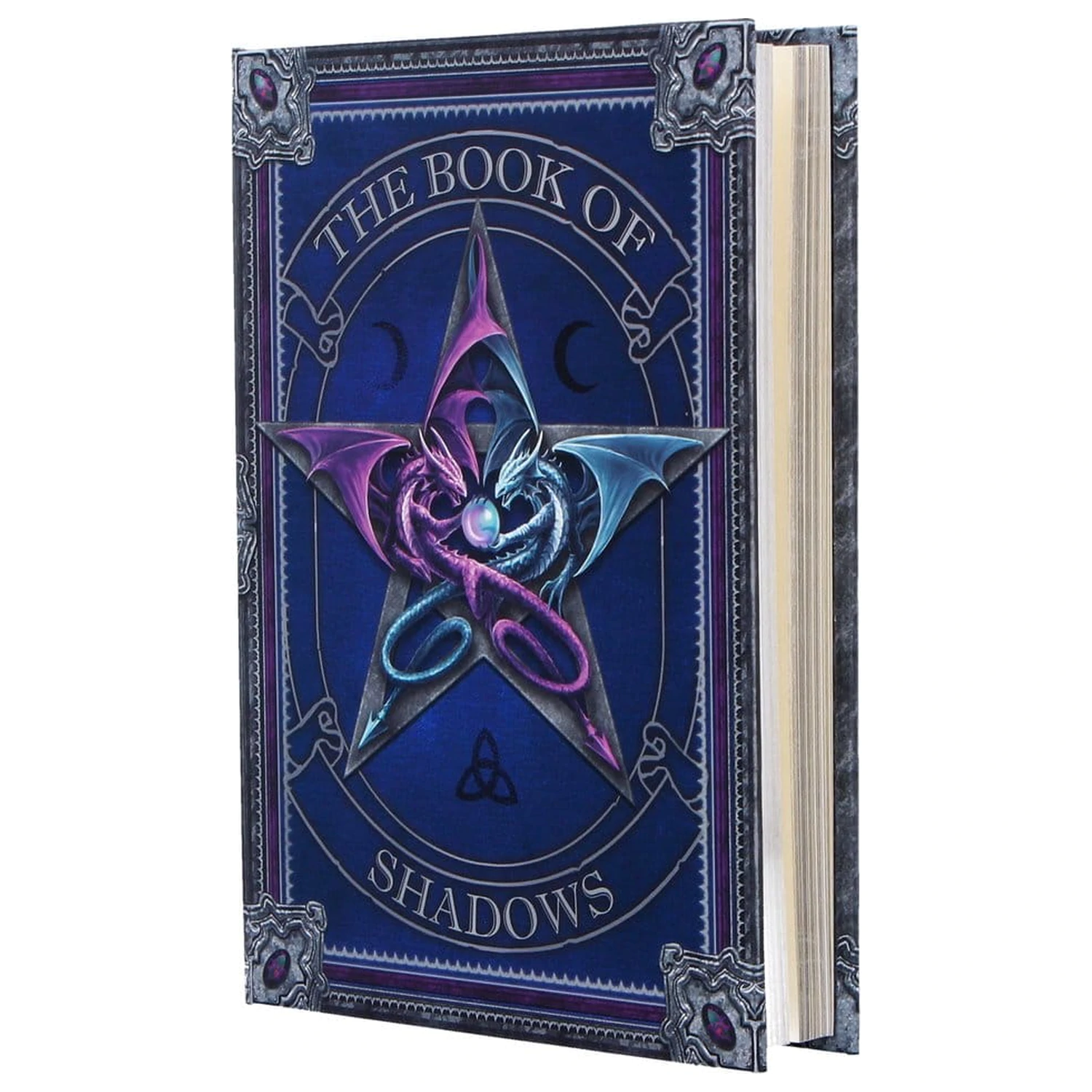 Anne Stokes Journal The Book of Shadows A5  product photo
